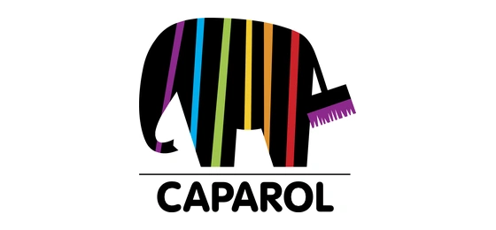Caparol Boya Yetkili Uygulayıcı